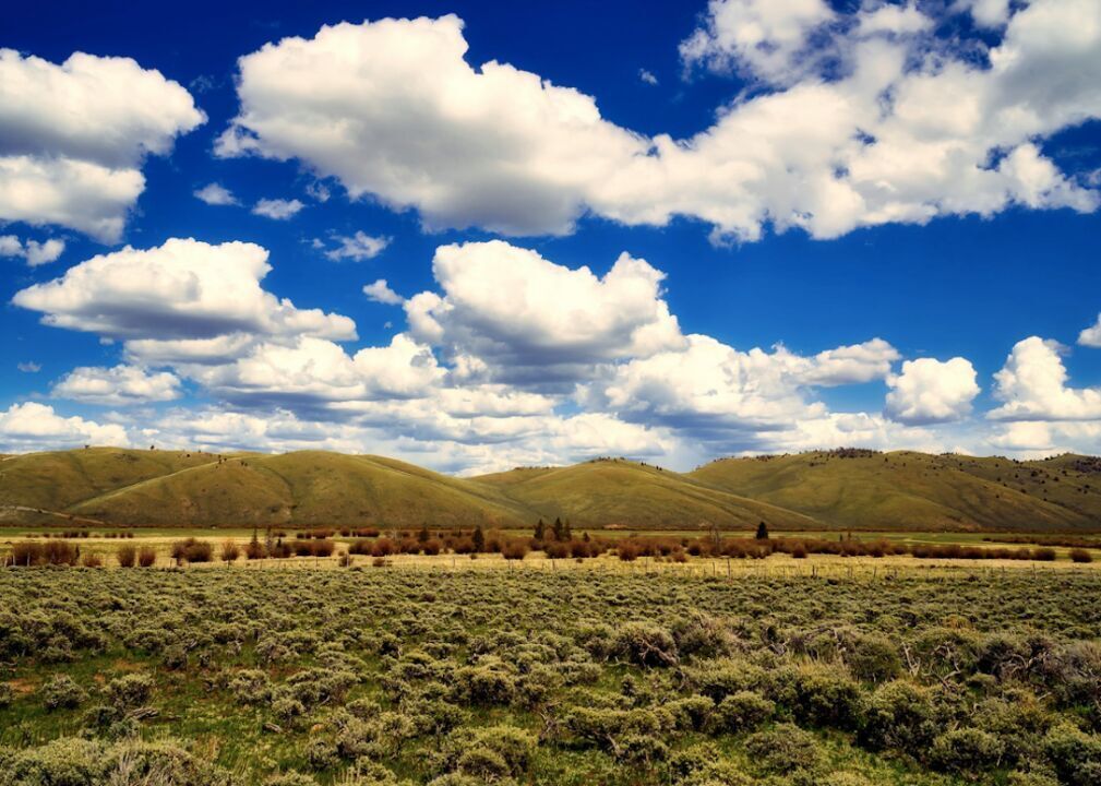 #7. Colorado